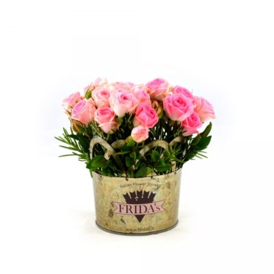 Vaso coroncina Frida's a domicilio con cosaporto.