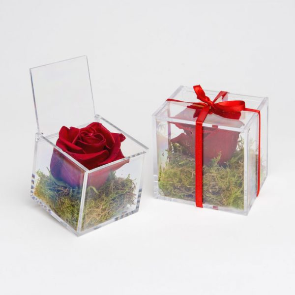 regalo rosa in scatola san valentino. a domicilio con Cosaporto