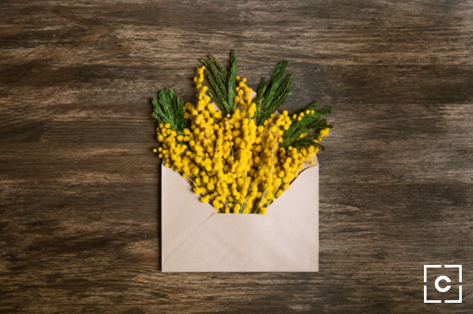 Idee e proposte per la festa della donna