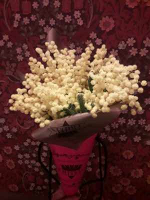 cosaporto fiori mimosa domicilio