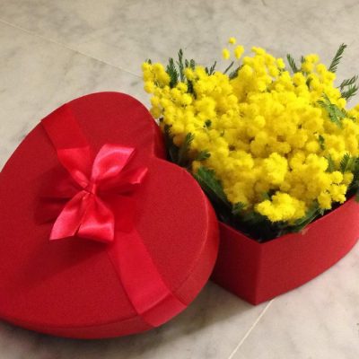 cuoricino mimosa festa della donna. consegna a domicilio con cosaporto.