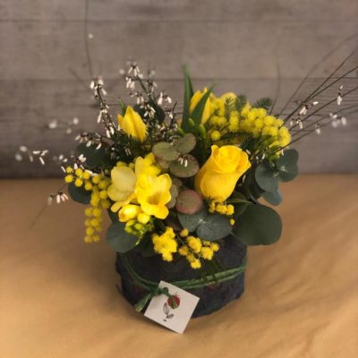 Sushi di mimose e fiori gialli
