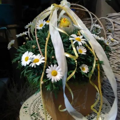 Pianta di margherite di fiorile a domicilio con dev-beliven.cosaporto.it