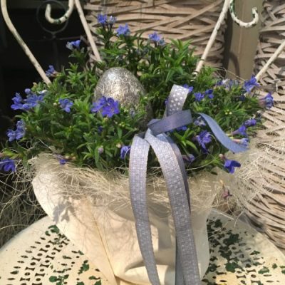 Lithodora con uovo decorativo a domicilio con dev-beliven.cosaporto.it
