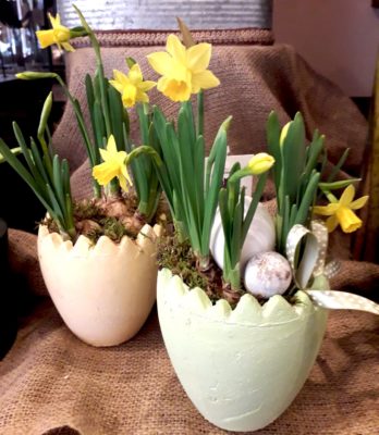 flowers narciso vaso pasqua pastello a domicilio con cosaporto