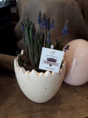 uovo frida's pasqua bulbi muscari a domicilio con cosaporto