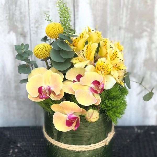 Sushi su dev-beliven.cosaporto.it