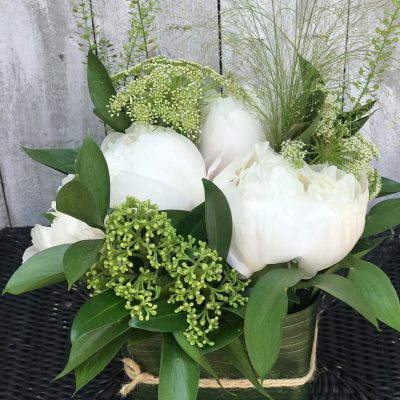 Sushi Raffinato su Cosaporto.it