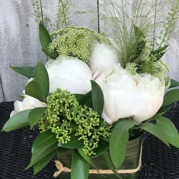 Sushi Raffinato su Cosaporto.it