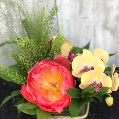 Sushi Colorato su Cosaporto.it