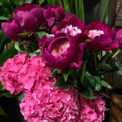 Bouquet di peonie profumate su Cosaporto.it