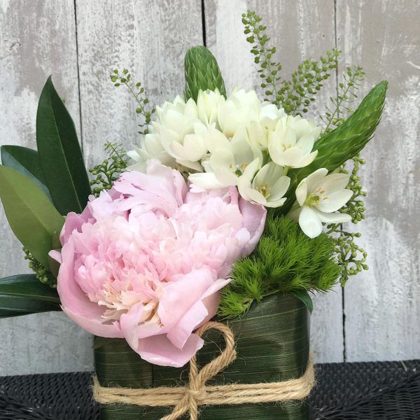 Sushi Floreale su Cosaporto.it