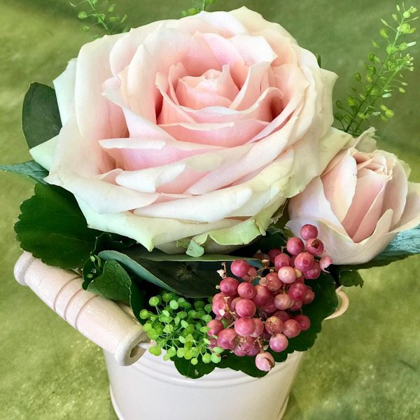 Secchiello_Rosa eredi bagatin cosaporto