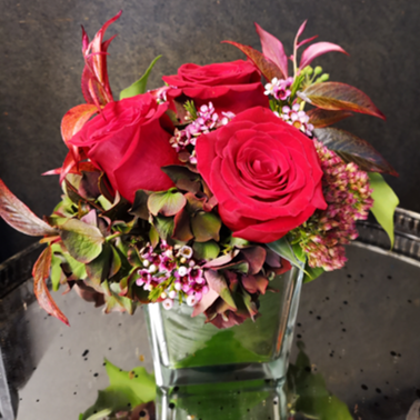 consegna a domicilio cubo rose rosse coral cosaporto