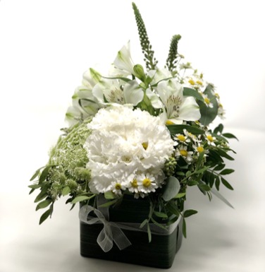 Consegna a domicilio Sushi quadrato Maryflor Cosaporto