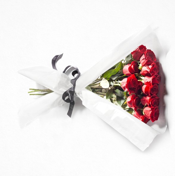 Maria Luisa Rocchi rose rosse