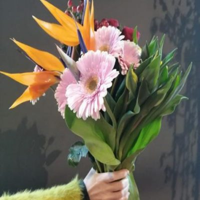 Potamazzolin ordina online su Cosaporto.it