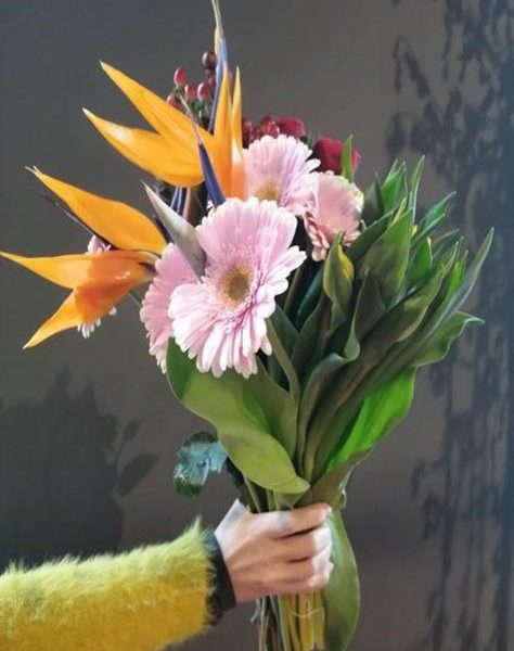 Potamazzolin ordina online su Cosaporto.it