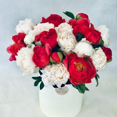 scatola a cilindo con peonie corallo e bianche_eredi Bagatin_cosaporto