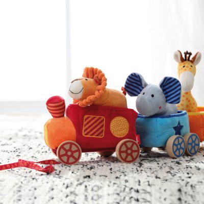 Trenino animali città del sole cosaporto