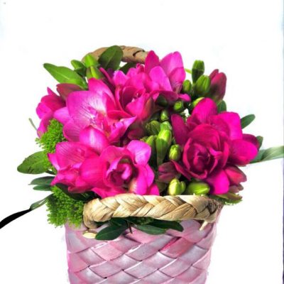 cestino Fresia eredi bagatin e cosaporto