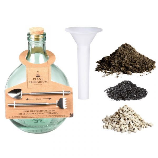 kit terrarium città del sole cosaporto