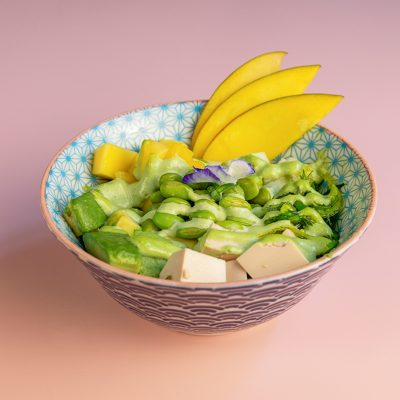 Poke meu amor-temakinho-ordina-online-cosaporto