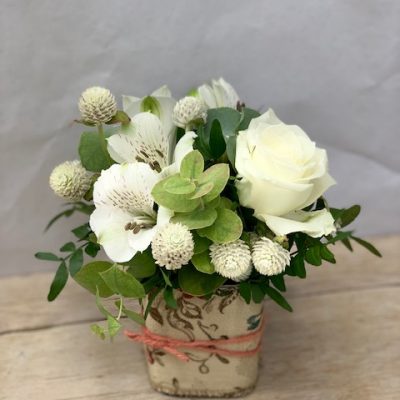 Ordina online su Cosaporto sushi in bianco, il regalo perfetto per chi vuole stupire con eleganza