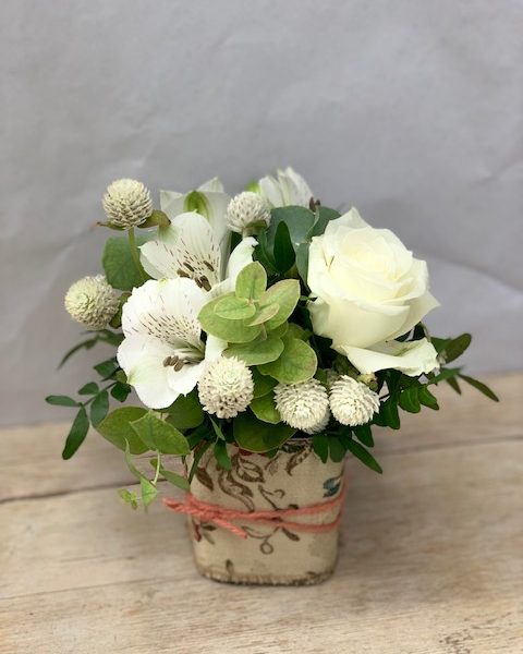 Ordina online su Cosaporto sushi in bianco, il regalo perfetto per chi vuole stupire con eleganza