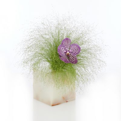 composizione-vaso onice-orchiedea-armanifiori