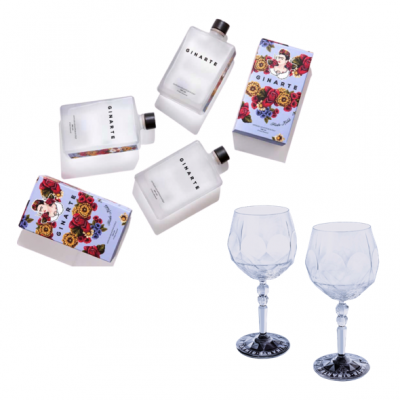 gin arte_la cantina di franco_cosaporto