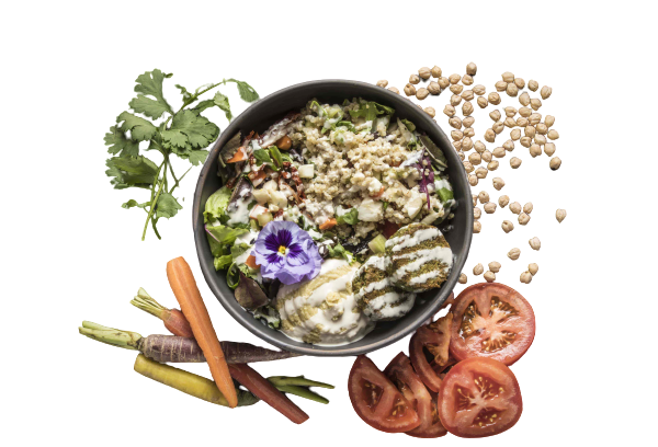 lebanese bowl_soulgreen_cosaporto