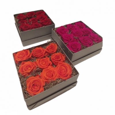 box-rose-stabilizzate-colorate-ciaffoni-consegna-domicilio-cosaporto