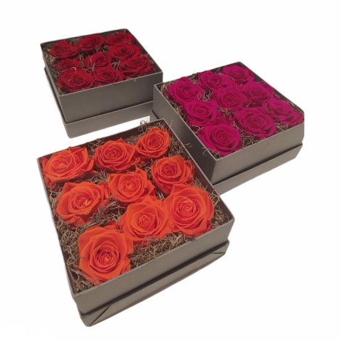 box-rose-stabilizzate-colorate-ciaffoni-consegna-domicilio-cosaporto