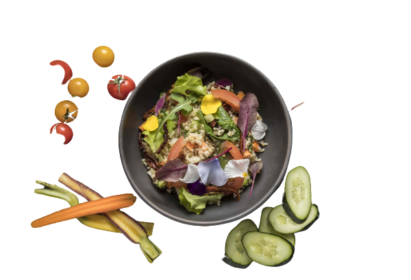 insalata quinoa soulgreen a domicilio con cosaporto