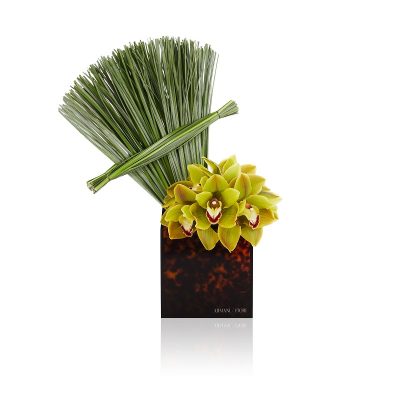 composizione-floreale-orchidea-su-vaso-in-plexiglass-piccolo-grande-consegna-domicilio-cosaporto