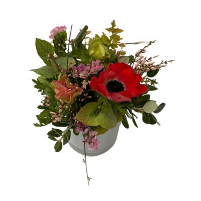 vasetto anemoni coral consegna domicilio cosaporto