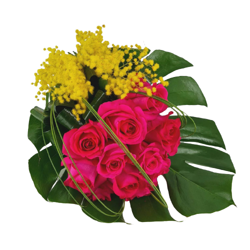 Cosaporto per le donne: celebriamo insieme l'8 marzo!