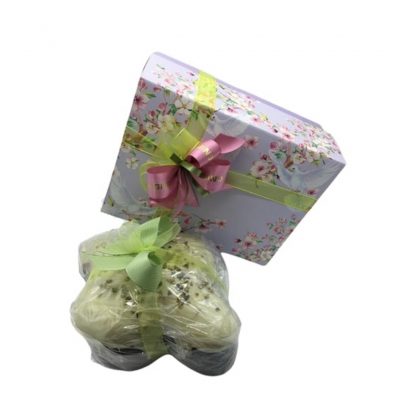 Colomba Pistacchio Dagnino consegna a domicilio con cosaporto