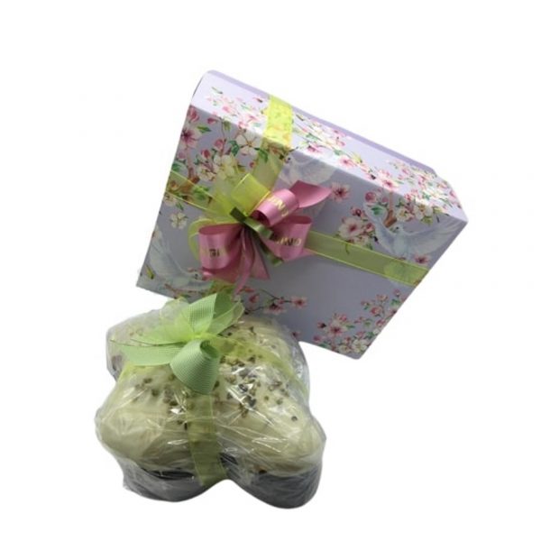Colomba Pistacchio Dagnino consegna a domicilio con cosaporto