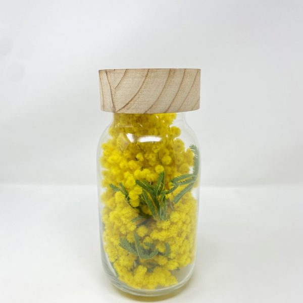 vaso in vetro con mimosa