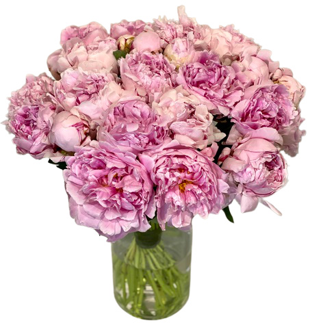 Bouquet Peonie di Maryflor consegna a domicilio