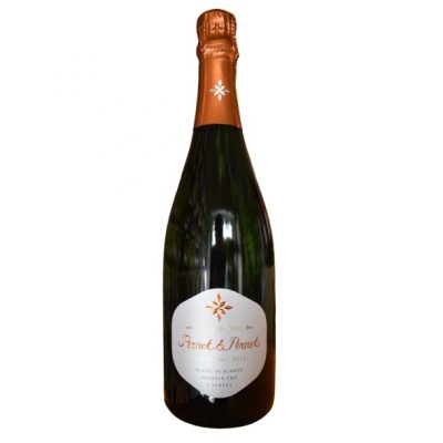 Millesimé Blanc de Blancs Pernet & Pernet 2012 Enoteca Gambi consegna a domicilio con Cosaporto