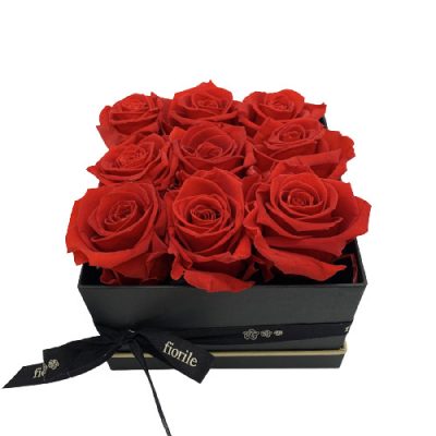 scatola rosa stabilizzata fiorile firenza consegna a domicilio con Cosaporto