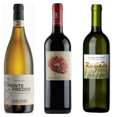 I vini di Sfoglia Rina consegna a domicilio con Cosaporto