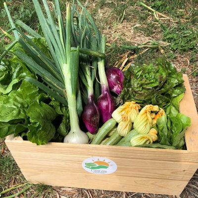 Box Ortaggi Misti BIO Il Sogno Verde consegna a domicilio con Cosaporto