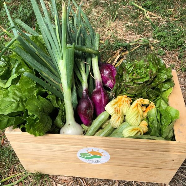 Box Ortaggi Misti BIO Il Sogno Verde consegna a domicilio con Cosaporto
