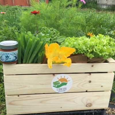 Box Ortaggi Misti BIO e condimento Gourmare a scelta Il Sogno Verde consegna a domicilio con Cosaporto