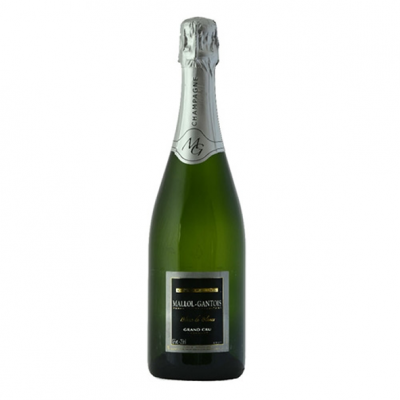 Champagne Blanc de Blanc Grand Cru Mallol Gantois di Enoteca Il Tappo