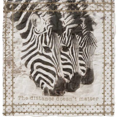 Fazzoletto cotone stampa zebra Massimo Alba consegna a domicilio con Cosaporto